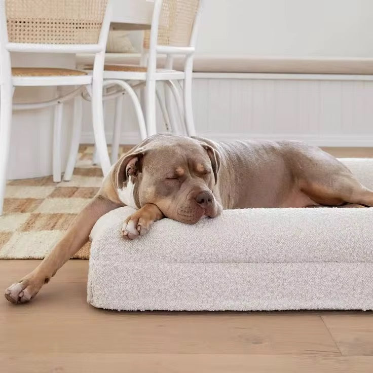 Luxury Foam Dog Bed