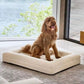 Luxury Foam Dog Bed