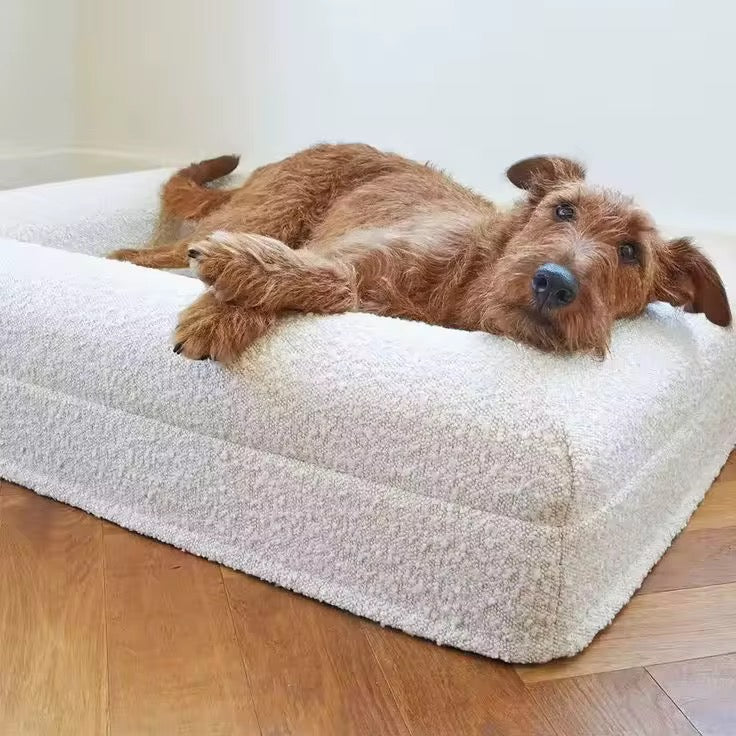 Luxury Foam Dog Bed